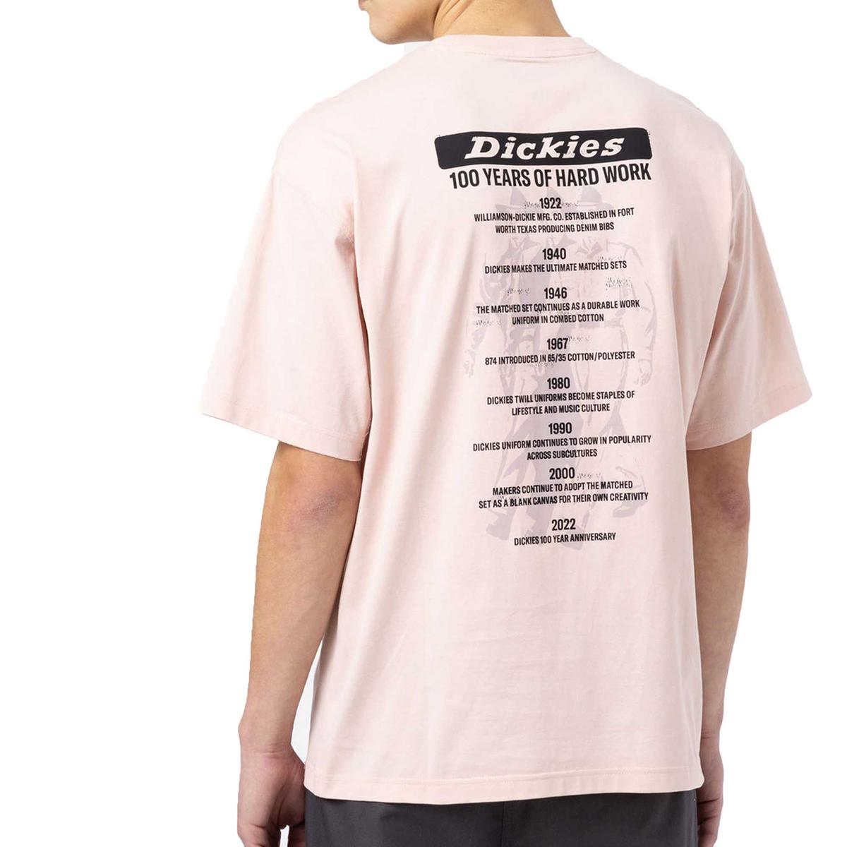 https://cdn02.plentymarkets.com/1t4q64x4rcv9/item/images/3177/full/Dickies-100Logo-Peach-DK0A4XO3C50-3.jpg